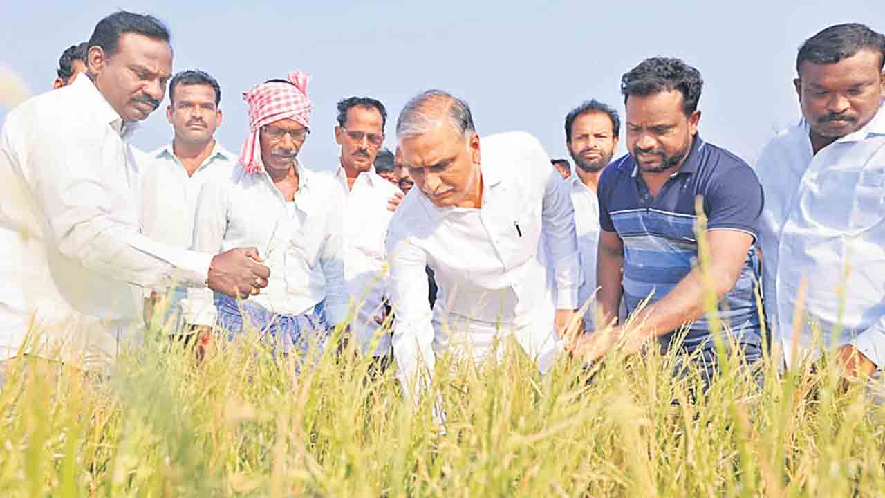 ప్రభుత్వం రైతులను ఆదుకోవాలి
