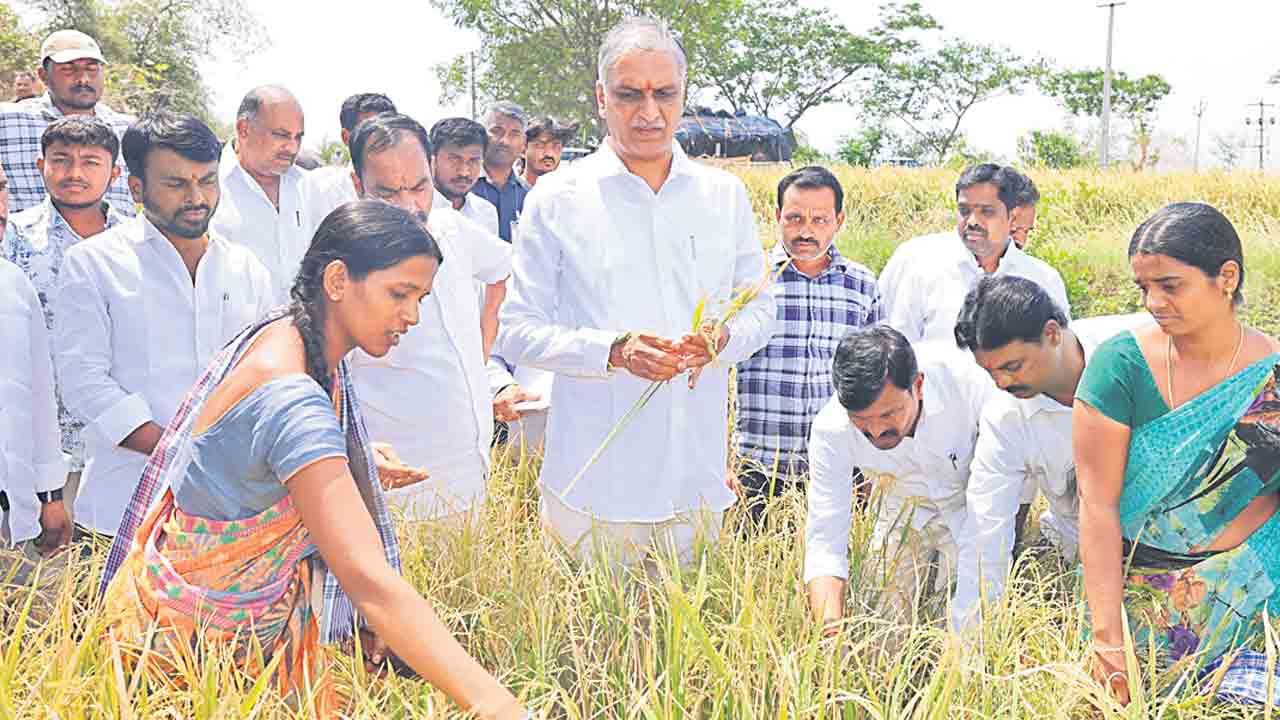 ఎకరాకు రూ. 25వేల ఇన్‌పుట్‌ సబ్సిడీ ఇవ్వాలి