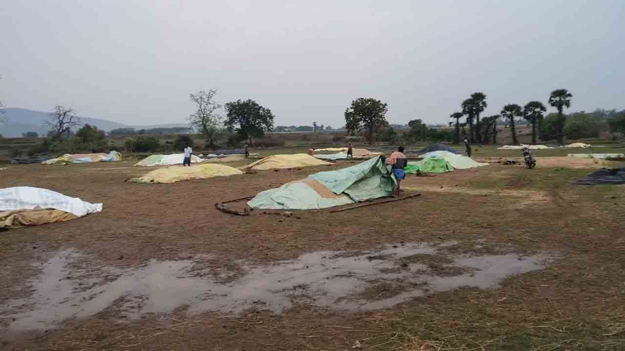 అర్ధరాత్రి వర్షం.. అన్నదాతకు శోకం