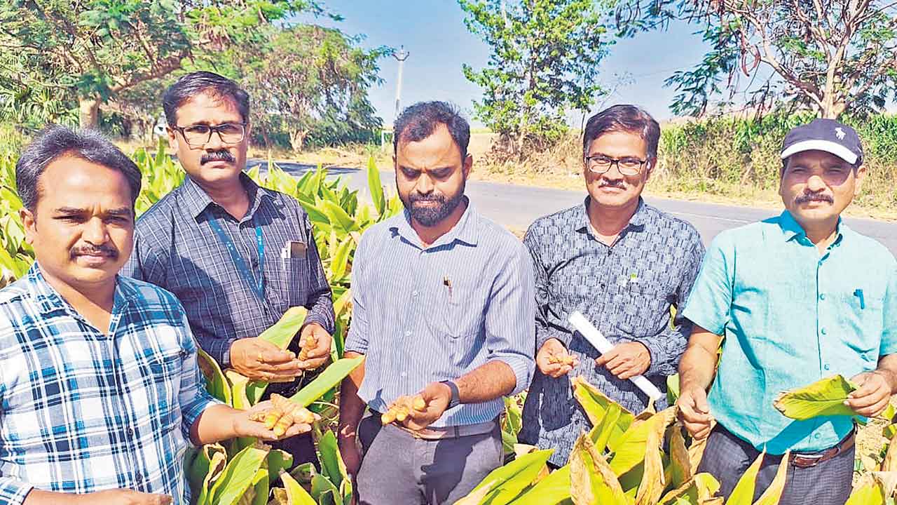 జీఐ ట్యాగ్‌ల సాధనపై ఉద్యాన వర్సిటీ దృష్టి