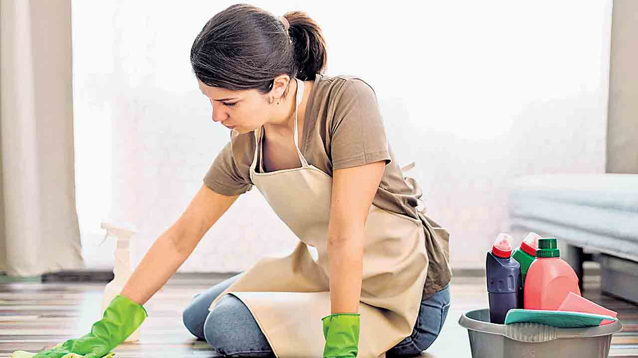 ఇలా చేస్తే.. ఇల్లు శుభ్రం