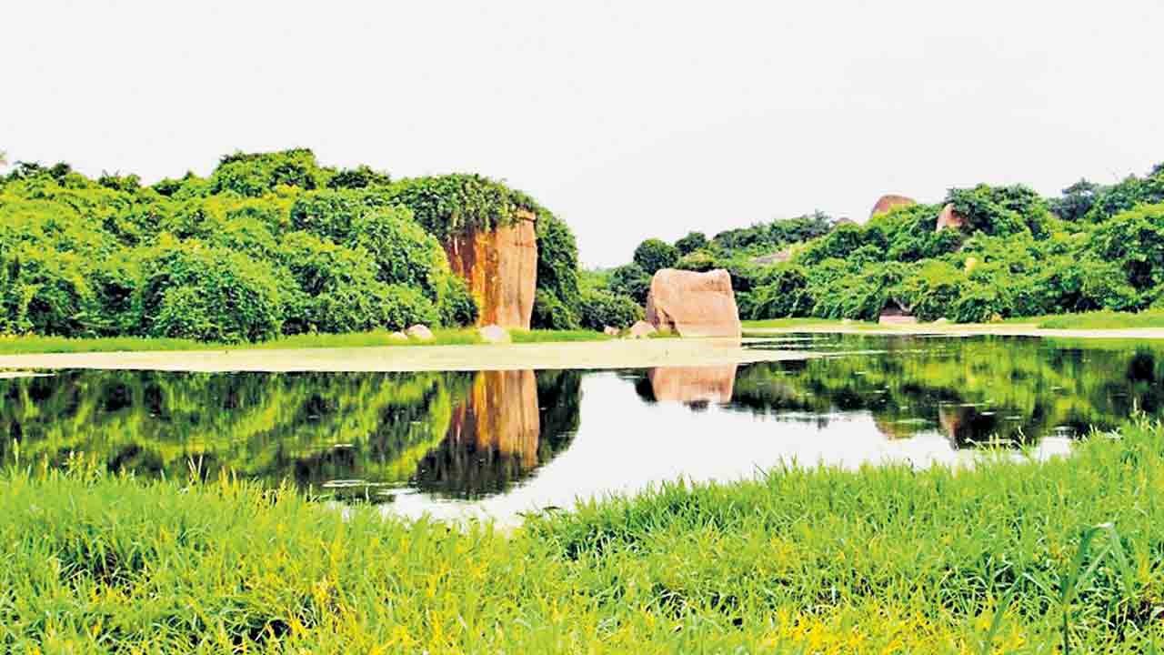 Hyderabad Central Universit