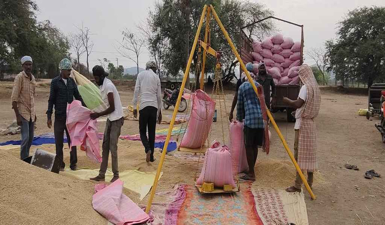 SIRICILLA | కళ్లాల వద్దే కాంటాలు.. సిరిసిల్ల లో ధాన్యం దళారుల పాలు..!