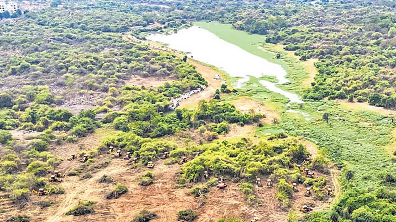 సుప్రీం ఆకుపచ్చని కొరడా