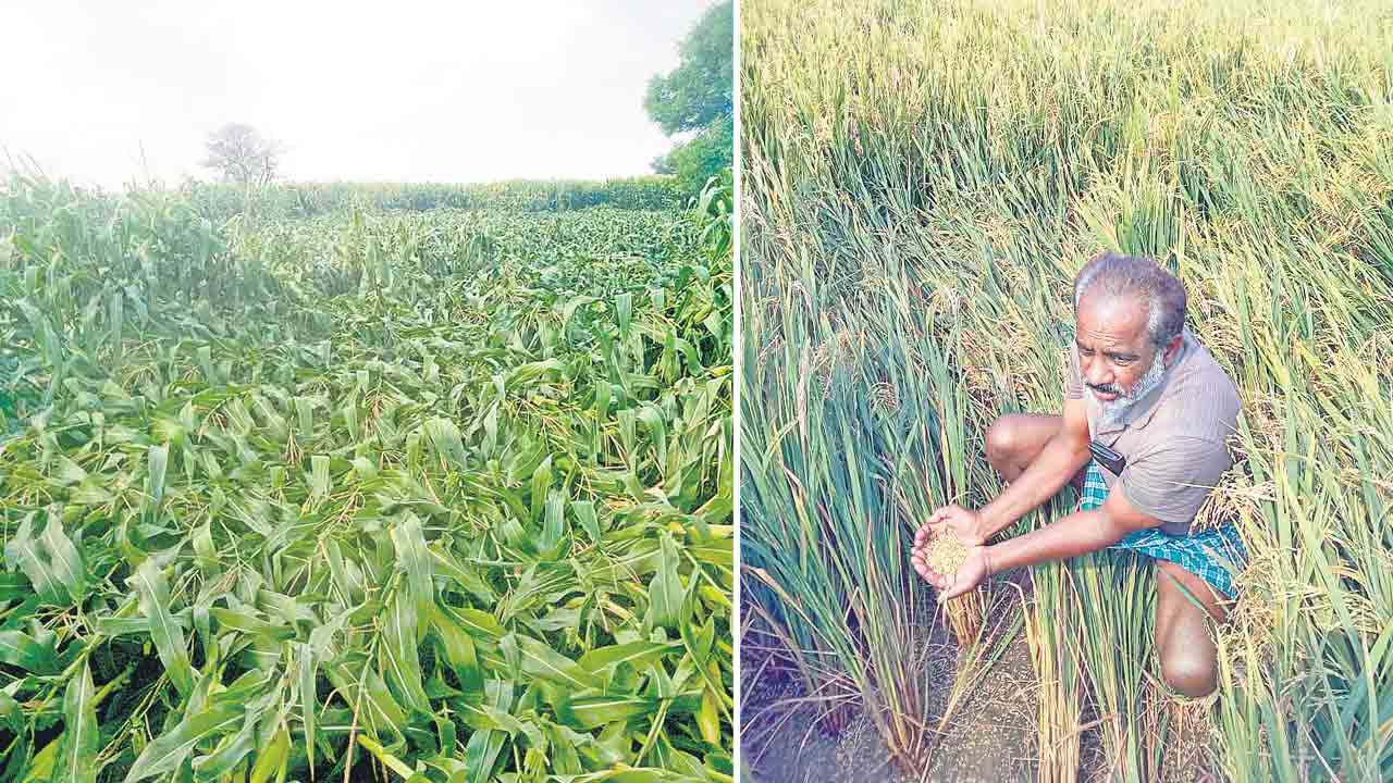 రైతన్నకు కడగండ్లు