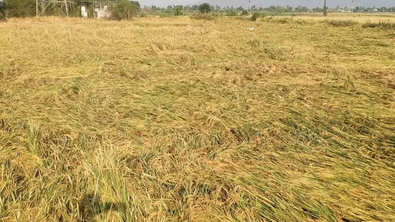 Khammam2