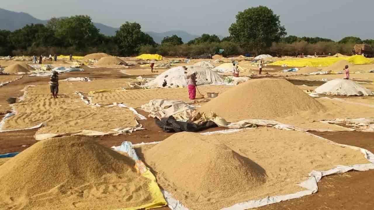 ముంచిన వాన..