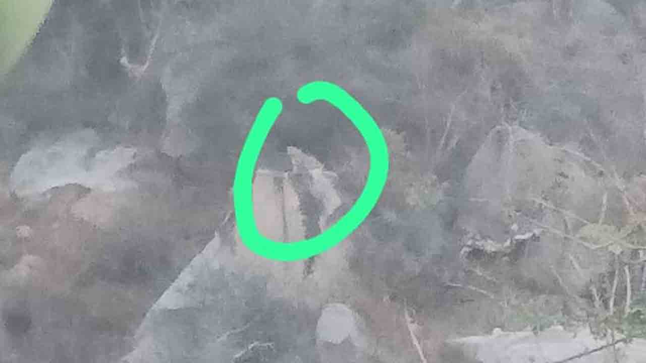 పట్టపగలే చిరుతల సంచారం