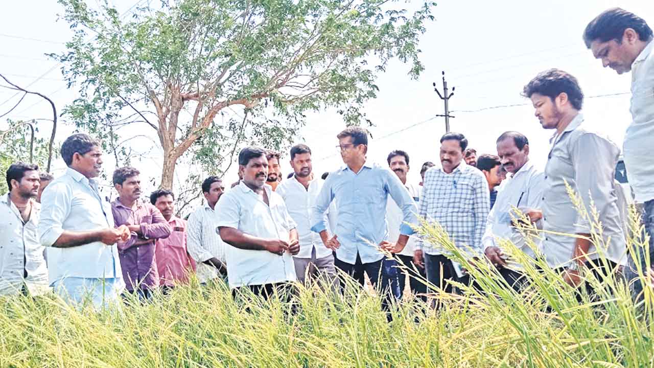 ఎకరాకు రూ.25వేలు అందించాలి