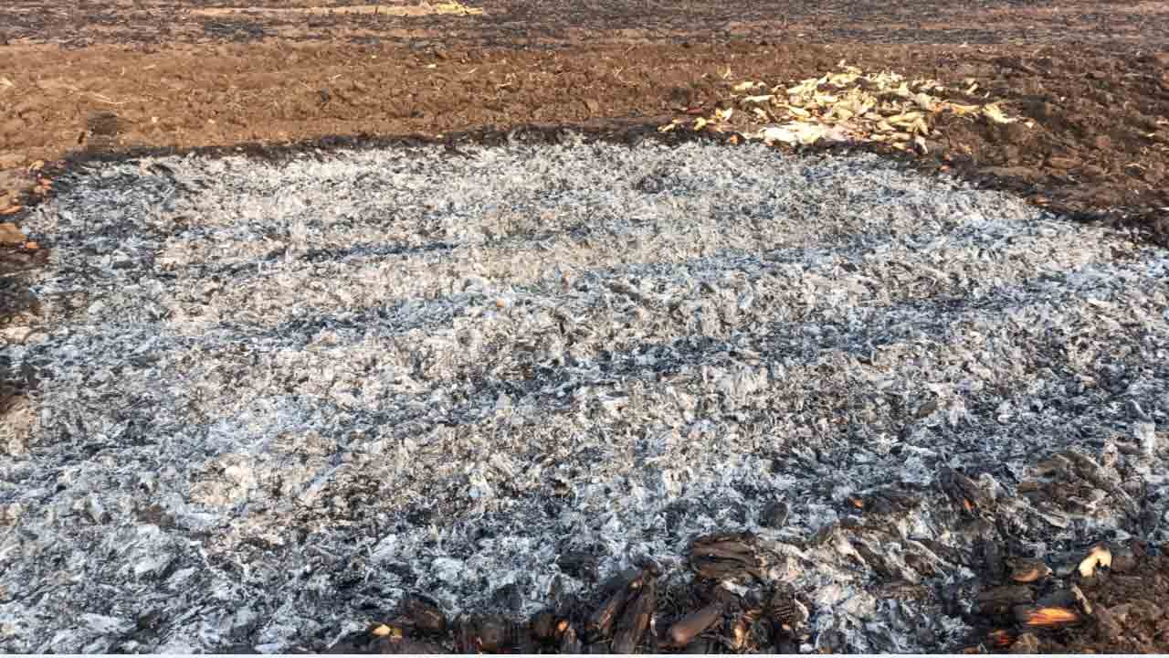 కౌలు రైతు కన్నీరు