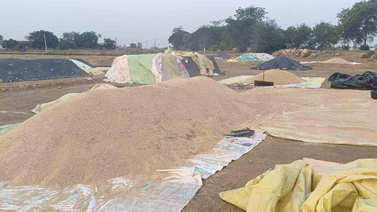 ప్రాధాన్యం ఏవీ?