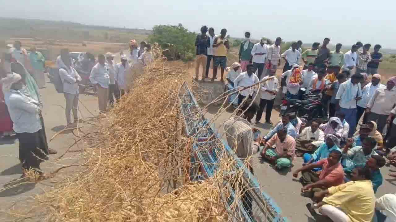 సాగునీళ్లివ్వకుంటే చావే శరణ్యం