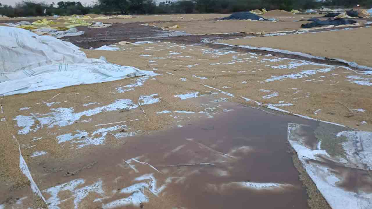 అకాలం వర్షం.. తడిసిన ధాన్యం