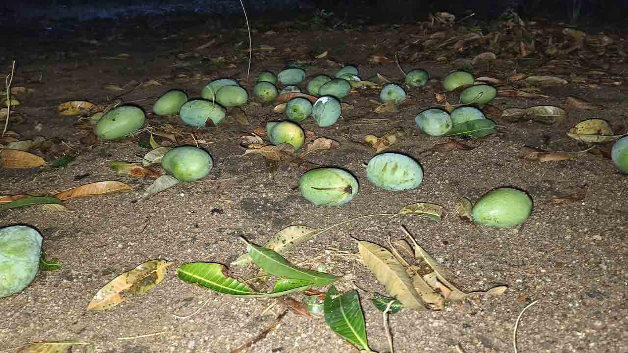 అకాల వర్షం.. అతలాకుతలం