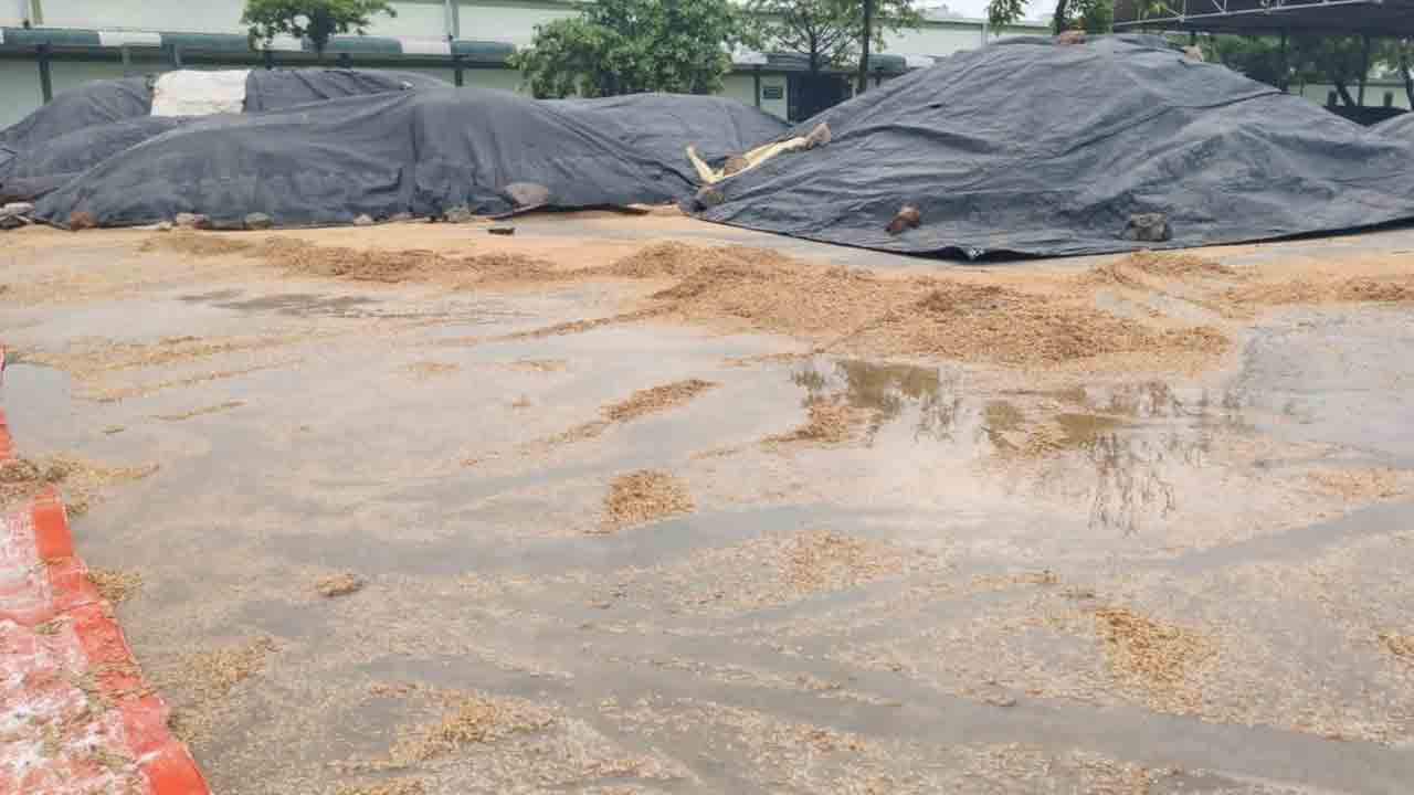 అకాల వర్షంతో తడిసిన వరిధాన్యం