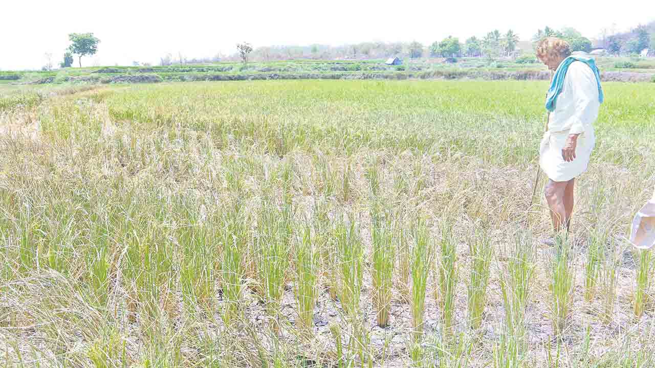 ఎత్తేసిన బోర్లు.. మిగిలింది కన్నీళ్లు