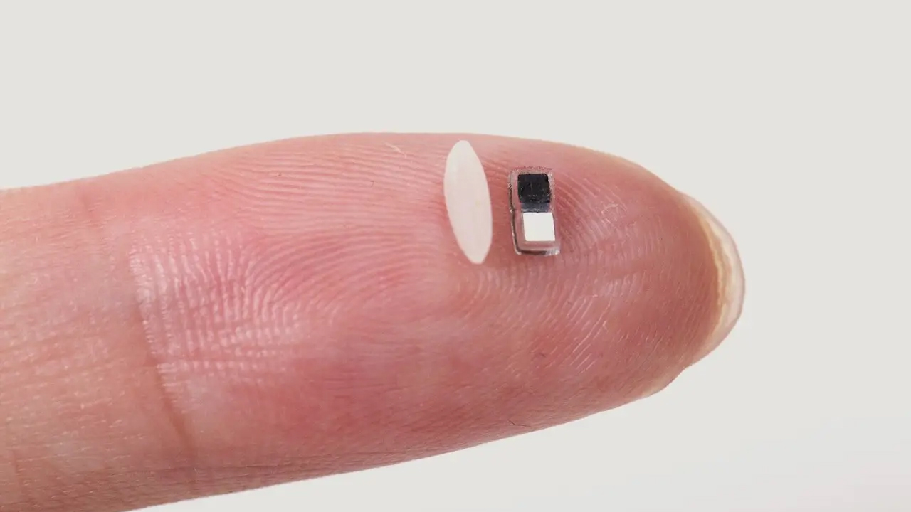 Pacemaker | బియ్యపు గింజంత చిన్న పేస్‌మేకర్‌.. శస్త్ర చికిత్స అవసరం లేకుండానే..!