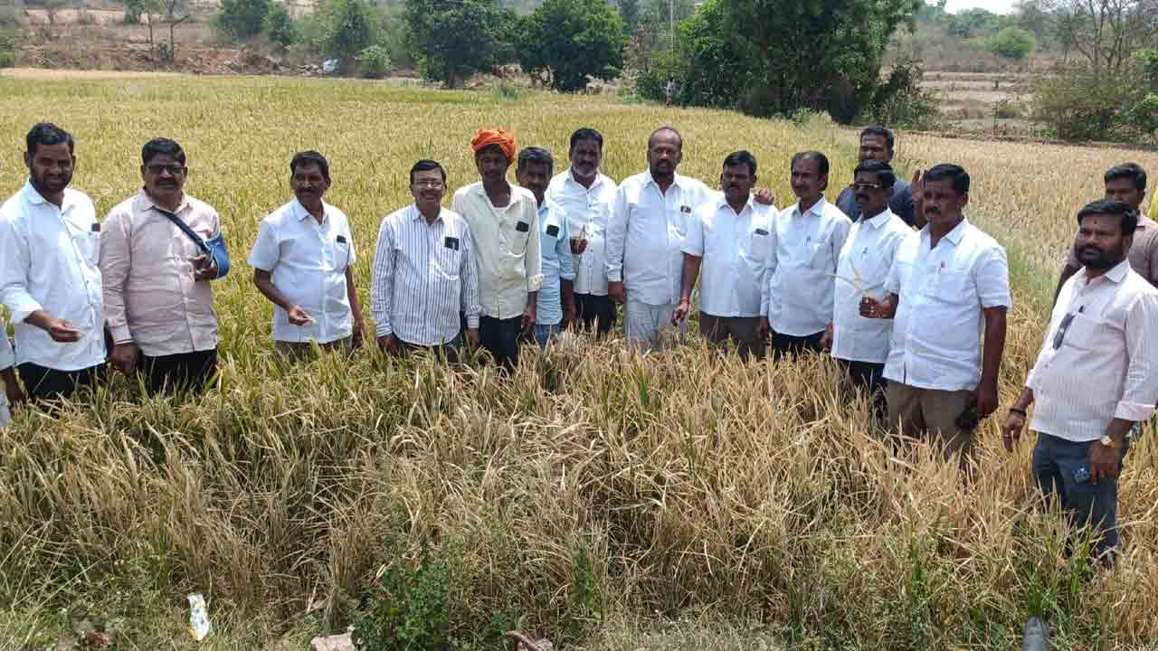 Illegal Pattas | సాగులో ఉన్న భూములకు అక్రమంగా చేసిన పట్టాలను వెంటనే రద్దు చేయాలి