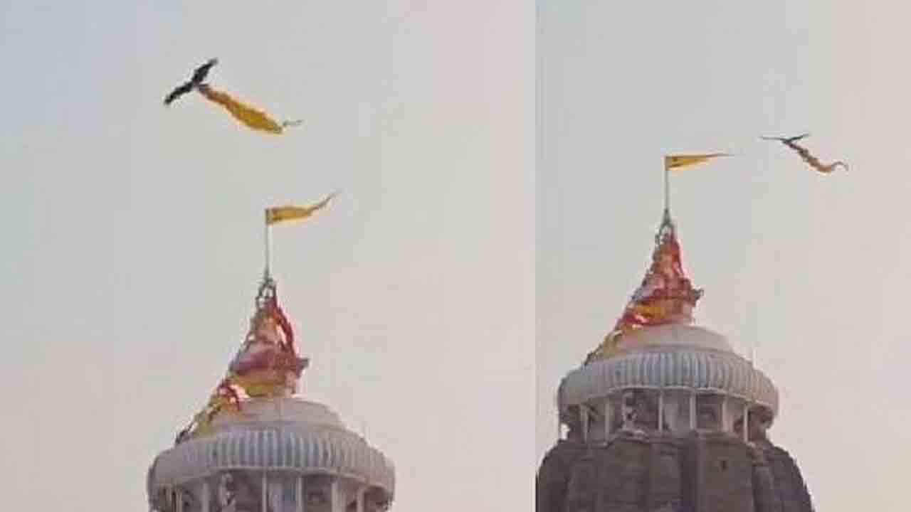 Puri Temple | పూరీ ఆలయంలో ఊహించని ఘటన.. శిఖరంపై ఎగిరే పతితపావన జెండాను ఎత్తుకెళ్లిన గద్ద.. VIDEO