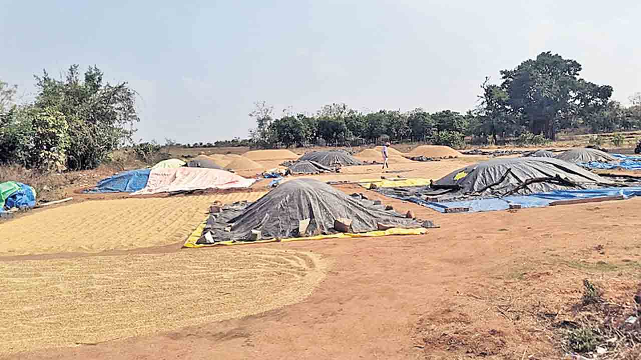 కల్లాల్లోనే ధాన్యం.. అన్నదాత దైన్యం