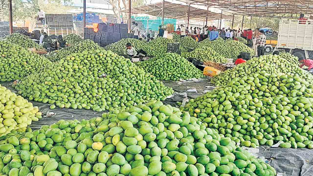 పోటెత్తిన మామిడి