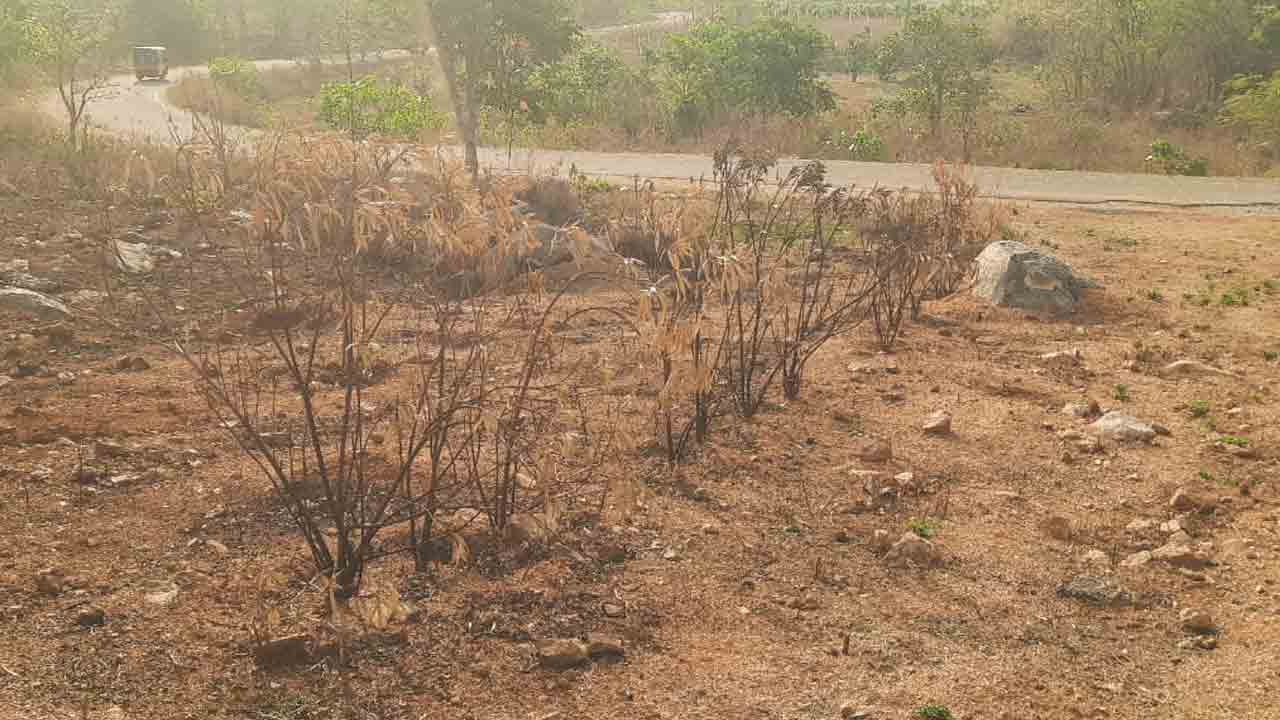 నిధులు రాక.. నిర్వహణ లేక..