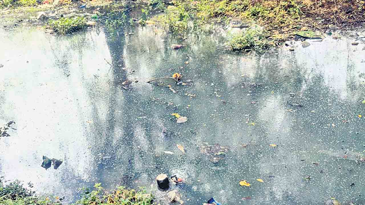 పడకేసిన పాలన