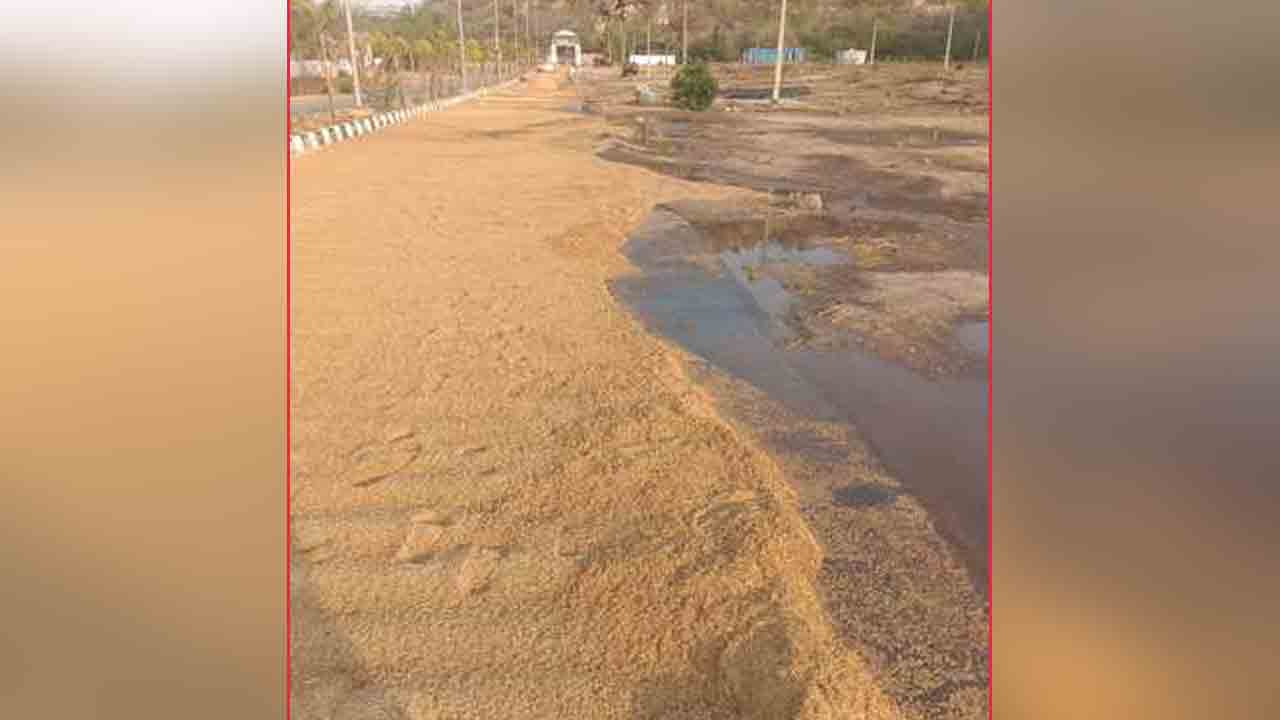 Mahabubnagar | మహబూబ్నగర్ మండలంలో అకాల వర్షం.. తడిసిన వరి ధాన్యం