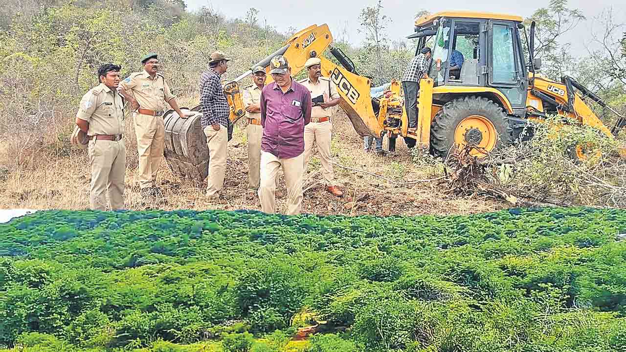Warangal | కారడవిలో పాగాకు ముంజేతి కడియం.. రెండున్నర వేల ఎకరాల అటవీ భూమిపై కన్ను