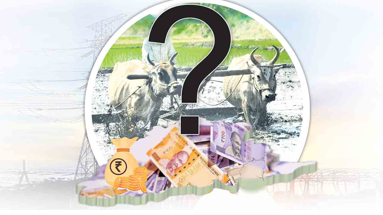 కోర్రీలతో కోతలు !