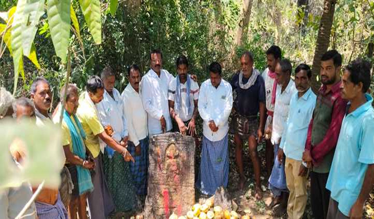 SULTANABAD | కాటమయ్య స్వామికి తాటి ముంజలతో అభిషేకం