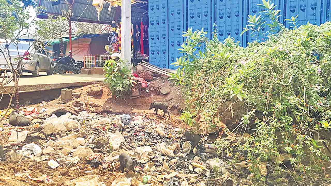 కేతకీ ఆలయ పరిసరాలు కంపు కంపు