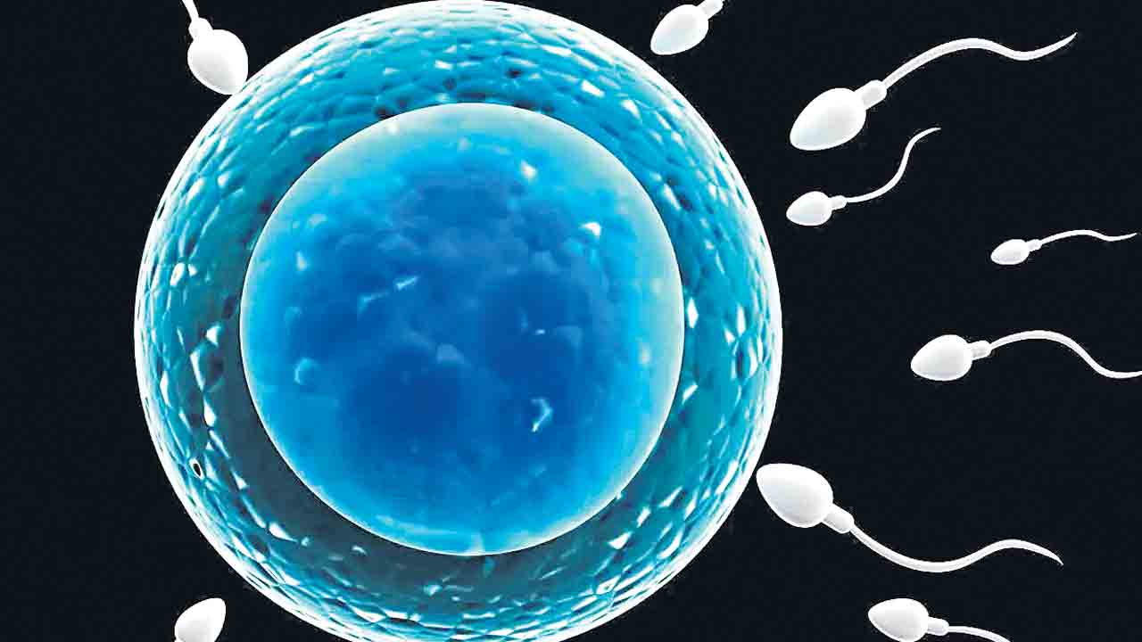 Sperm Race | ప్రపంచంలో తొలిసారిగా స్పెర్మ్‌ రేస్‌.. ఆతిథ్యం ఇస్తున్న లాస్‌ ఏంజెల్స్‌