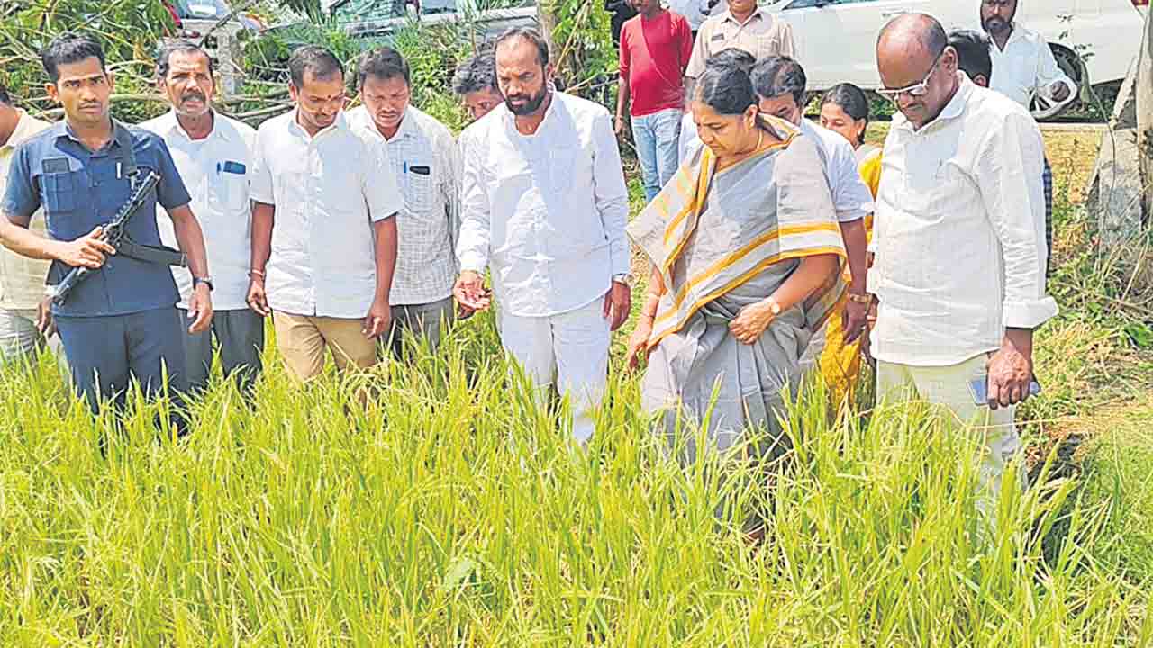 వడగండ్లతో అపార నష్టం