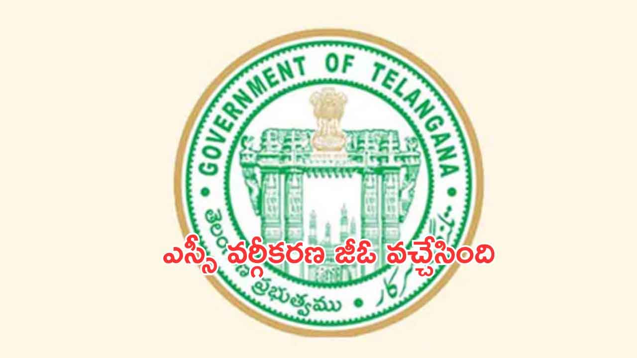ప్రొఫెషనల్‌ సీట్ల భర్తీలో వర్గీకరణ