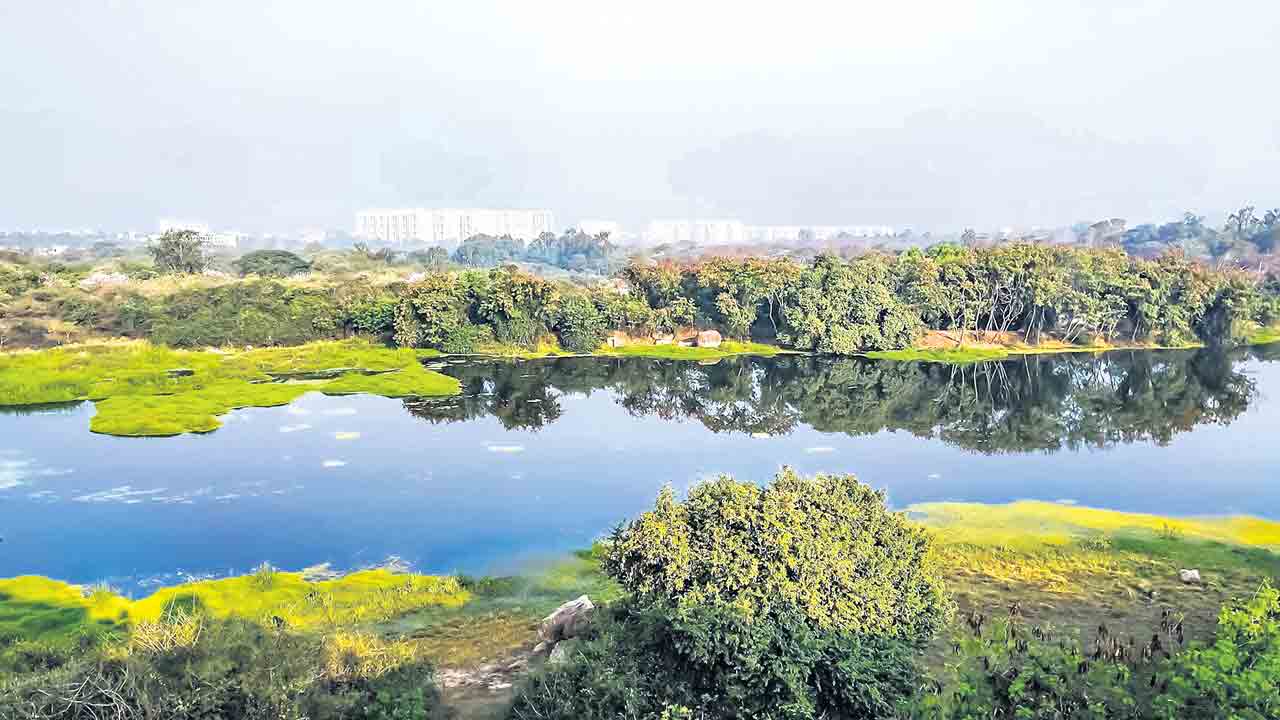 Telangana