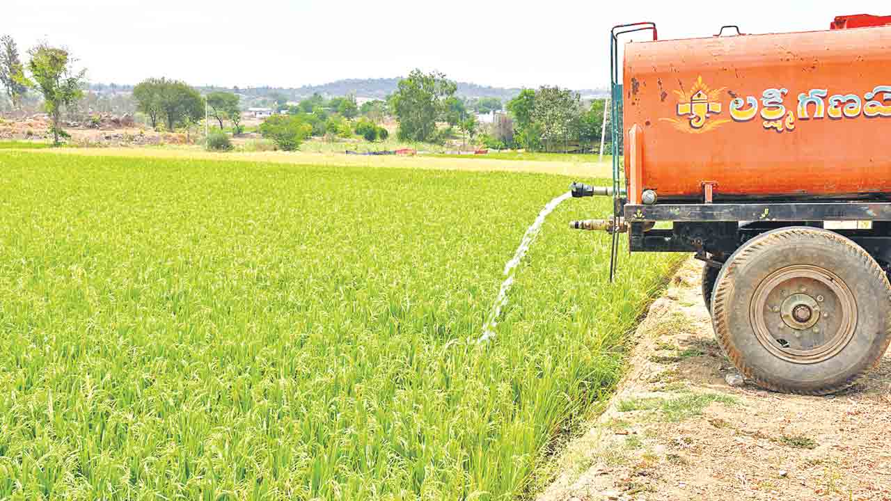 ట్యాంకర్లతో చి‘వరి’ ప్రయత్నంగా..