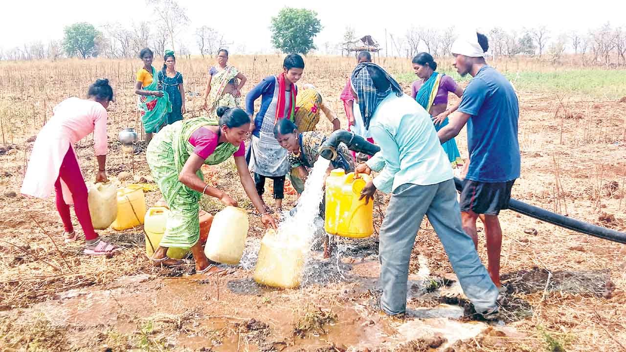 Tribals 3