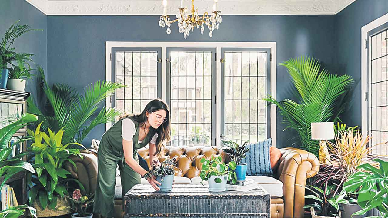 అద్దెకు హరితవనం