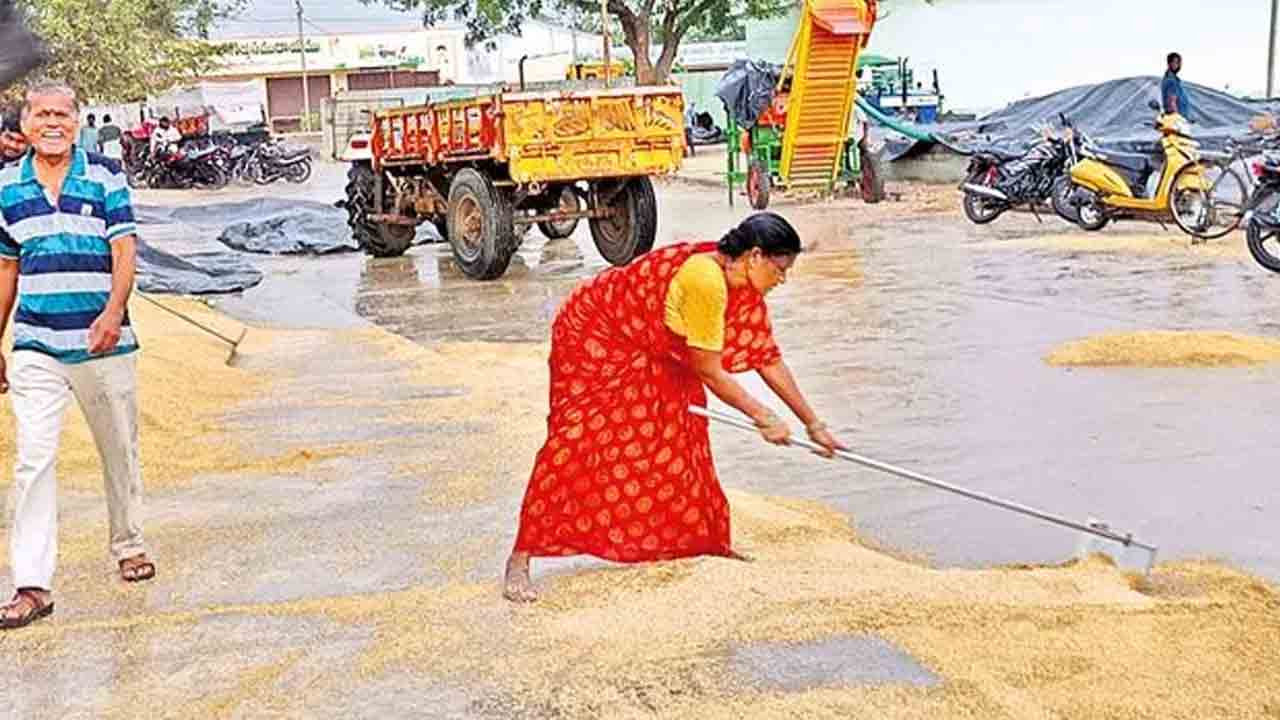 అకాల వర్షానికి రైతన్న ఆగం