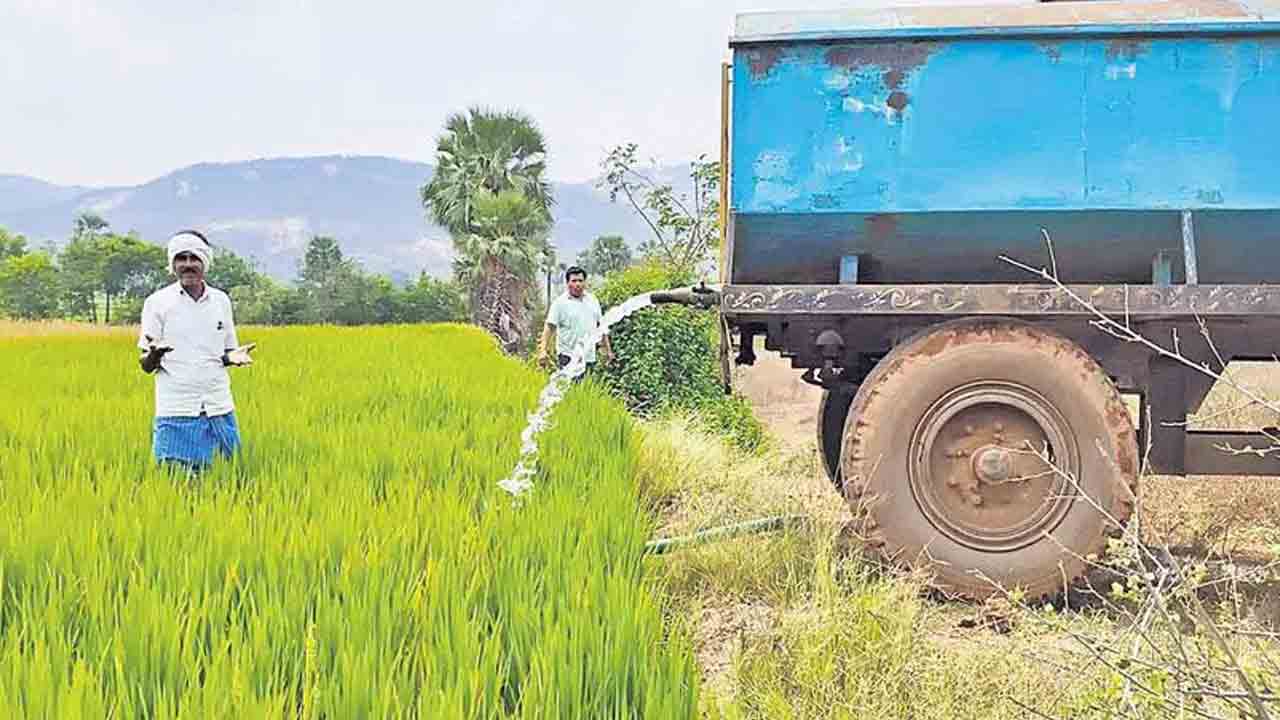 చివరి ప్రయత్నంగా..