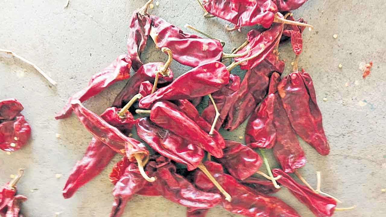 Warangal, Chapata Chillis