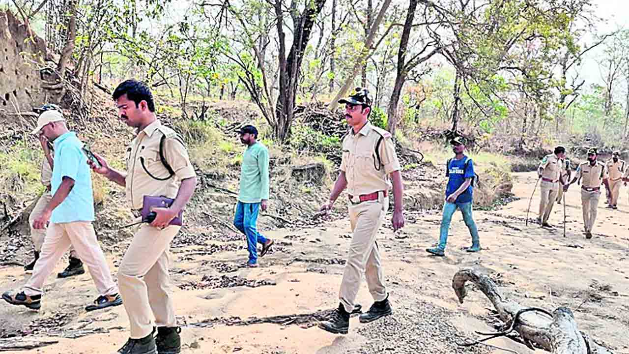 బయ్యక్కపేట అడవుల్లో పెద్దపులి సంచారం