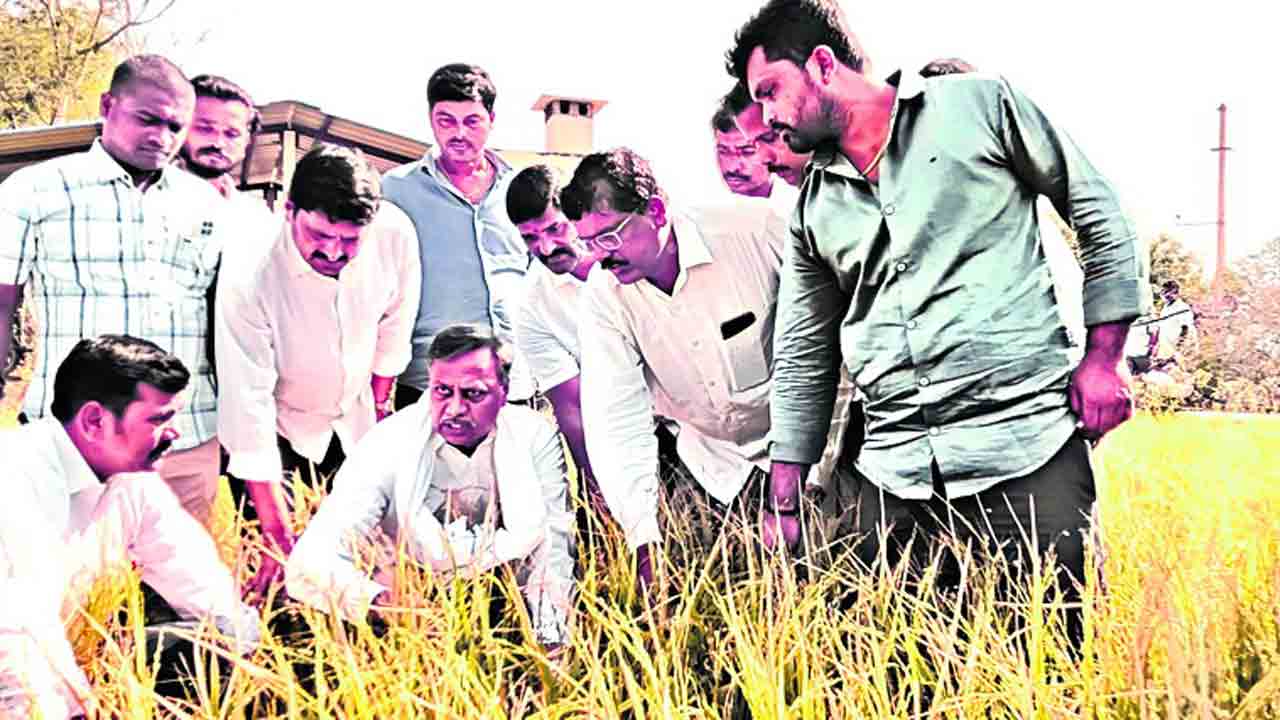 పంటలు పరిశీలించి.. రైతులకు ధైర్యం చెప్పి