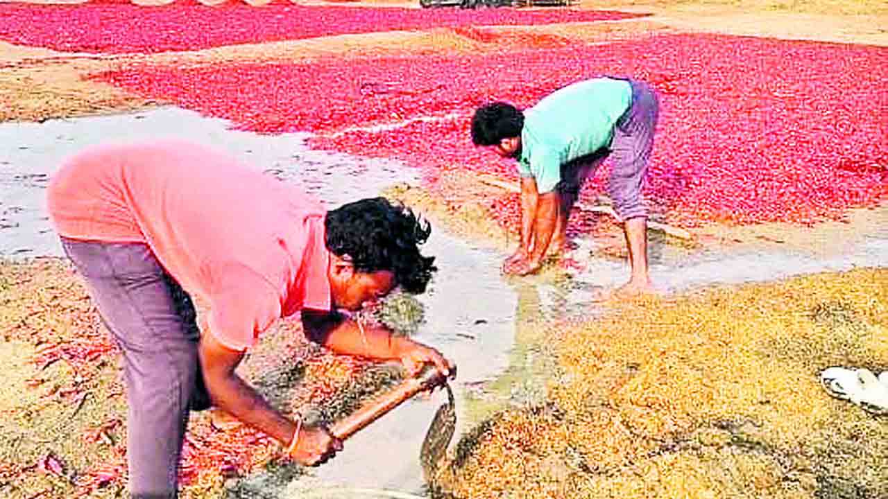 వర్షార్పణం