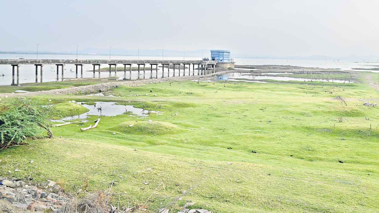 ఎండుతున్న ఎల్లంపల్లి!