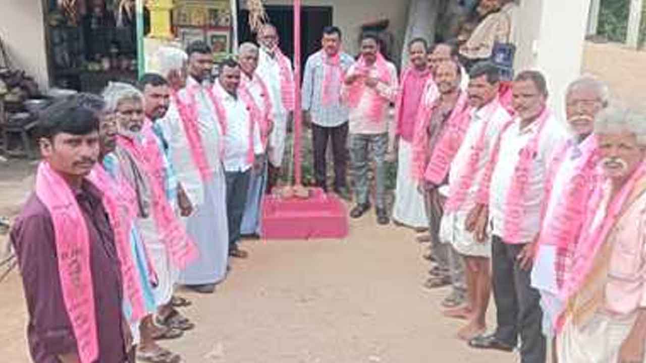 pink flag | గ్రామాలలో రెపరెపలాడిన గులాబీ జెండా