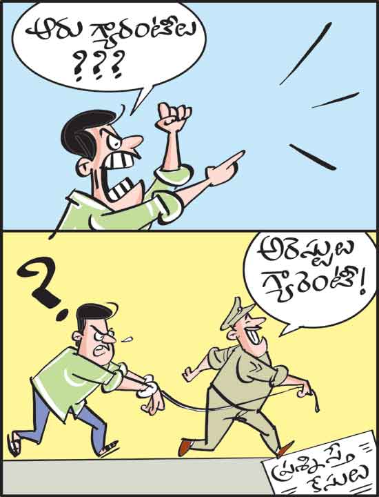 Cartoon