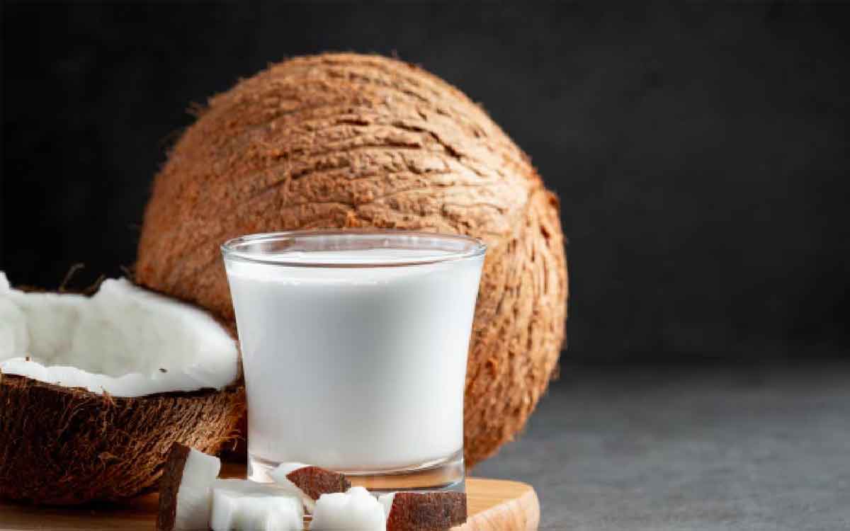 Coconut Milk | కొబ్బ‌రిపాల‌ను తాగితే ఇన్ని లాభాలు ఉన్నాయా.. తెలిస్తే వెంట‌నే మొద‌లు పెడ‌తారు..