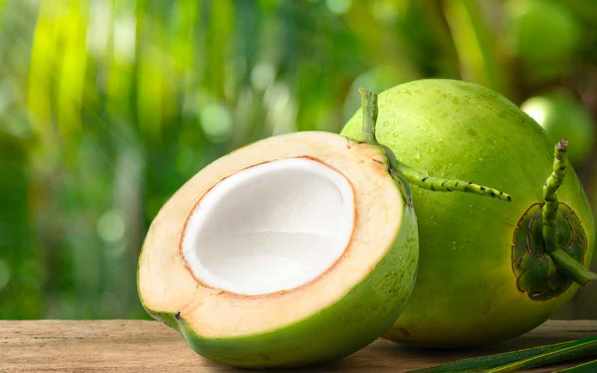 Coconut | రోజూ ప‌చ్చి కొబ్బ‌రిని తిన‌డం అల‌వాటు చేసుకోండి.. ఎందుకంటే..?
